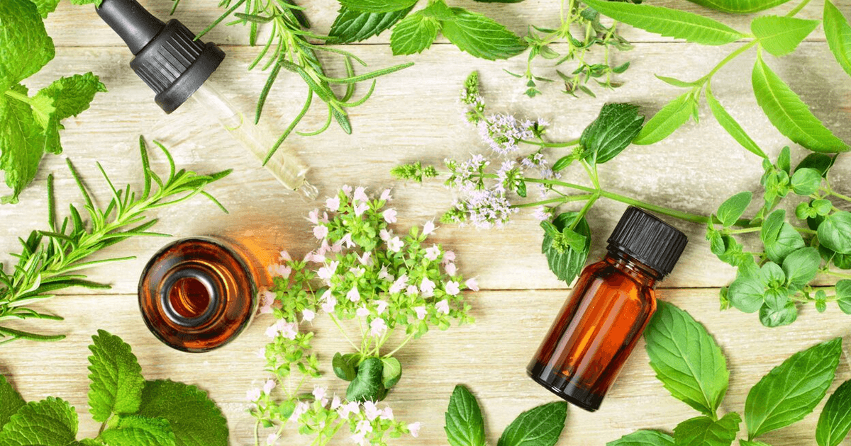 "5 Powerful Antifungal Herbs for Skin (And How to Use Them)"